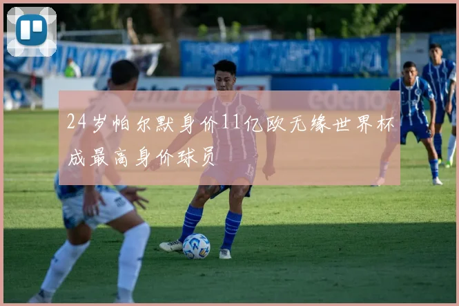 24岁帕尔默身价11亿欧无缘世界杯成最高身价球员