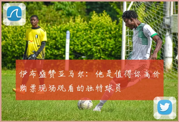伊布盛赞亚马尔：他是值得你高价购票现场观看的独特球员