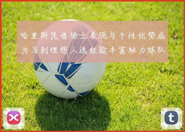 哈里斯凭借场上表现与个性优势成为马刺理想人选经验丰富助力球队发展