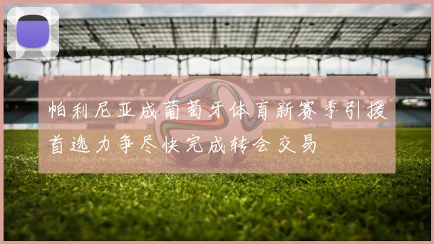 帕利尼亚成葡萄牙体育新赛季引援首选力争尽快完成转会交易