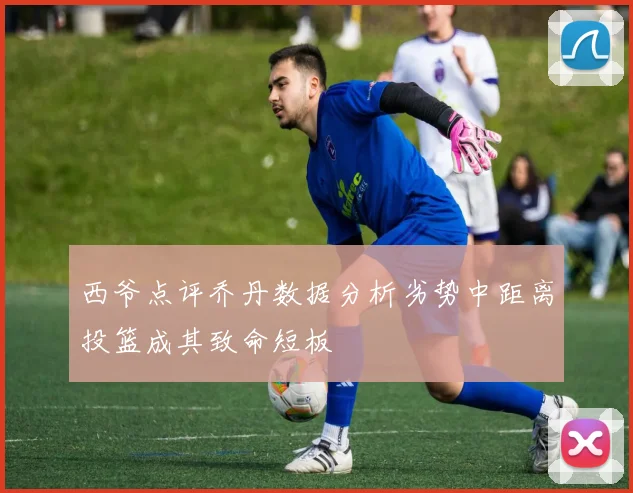 西爷点评乔丹数据分析劣势中距离投篮成其致命短板