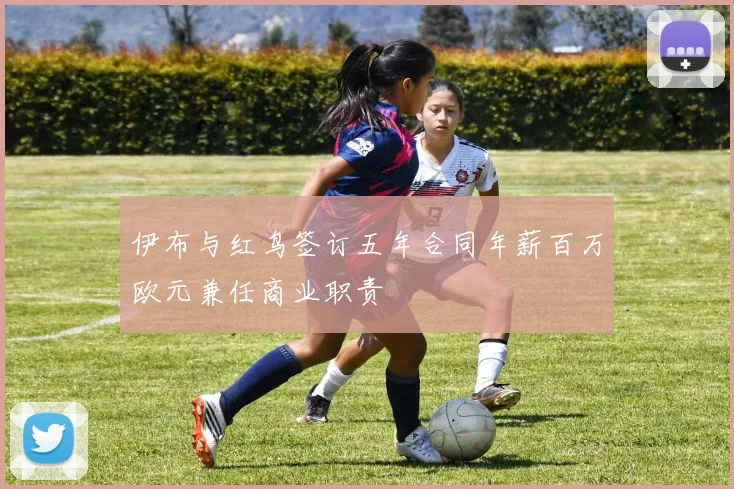 伊布与红鸟签订五年合同年薪百万欧元兼任商业职责